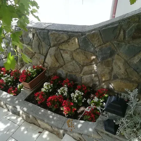 Ivic Paka Rab Банёл
