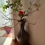 Apartment Ivic Paka Rab *