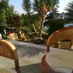 Ivic Paka Rab *