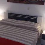 Apartment Ivic Paka Rab *