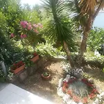 Ivic Paka Rab Apartment Banjol