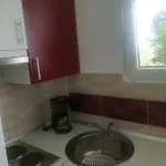 Ivic Paka Rab Apartment