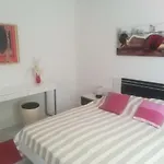 Ivic Paka Rab Apartment