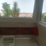 Ivic Paka Rab Apartment