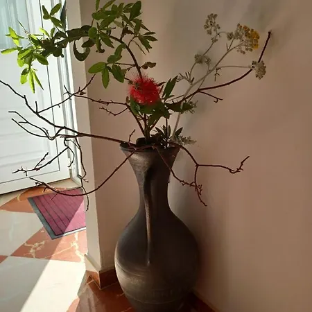 Apartman Ivic Paka Rab *