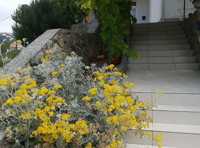 Ivic Paka Rab Banjol