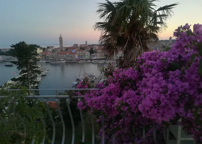 Ivic Paka Rab * Banjol